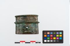 Foto von Bronzeortband (NHMW-PRAE-024490a2)